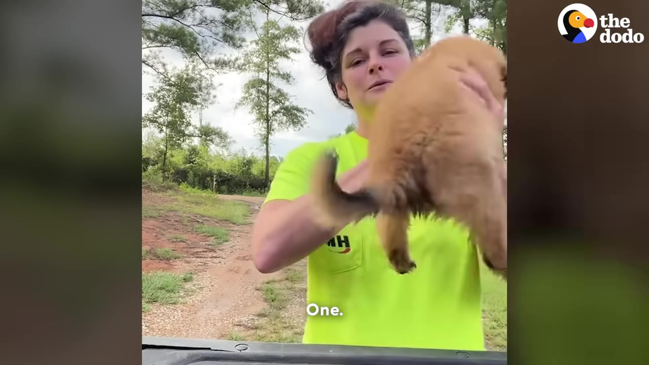 A woman in a bright neon green t-shirt holds a fluffy golden puppy outdoors near a dirt path.
