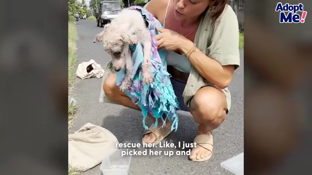 A woman crouches on a paved road, holding a small, frail, white dog with severe skin issues wrapped in a blue and purple patterned cloth.