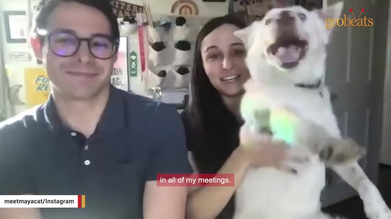 A white dog is held in the arms of a woman sitting next to a man, looking happy and involved in their conversation.