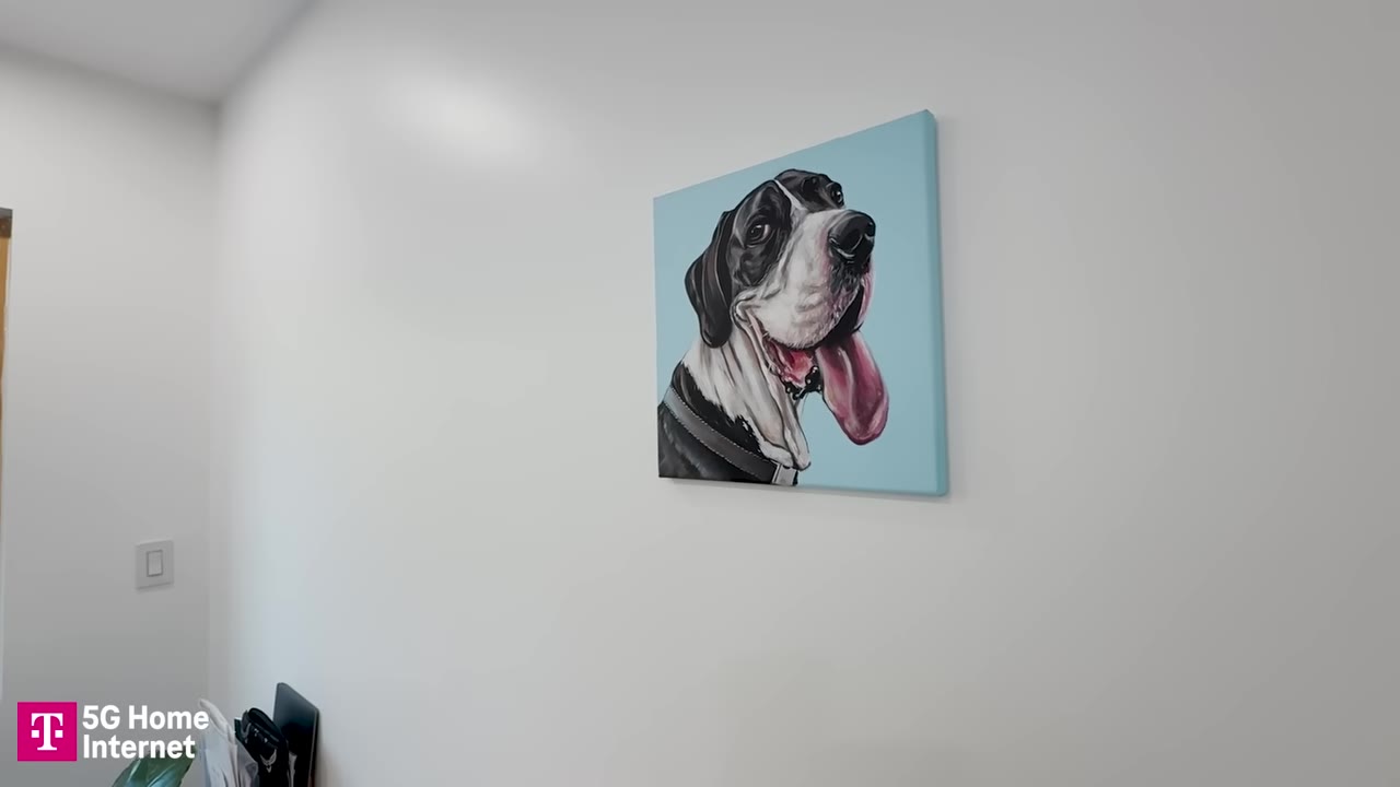 A painting of a black and white Great Dane with its tongue out, hanging on a white wall.