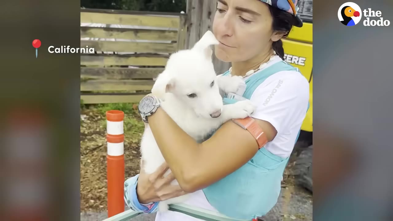A woman wearing a blue baby carrier holds a small white puppy close to her chest.