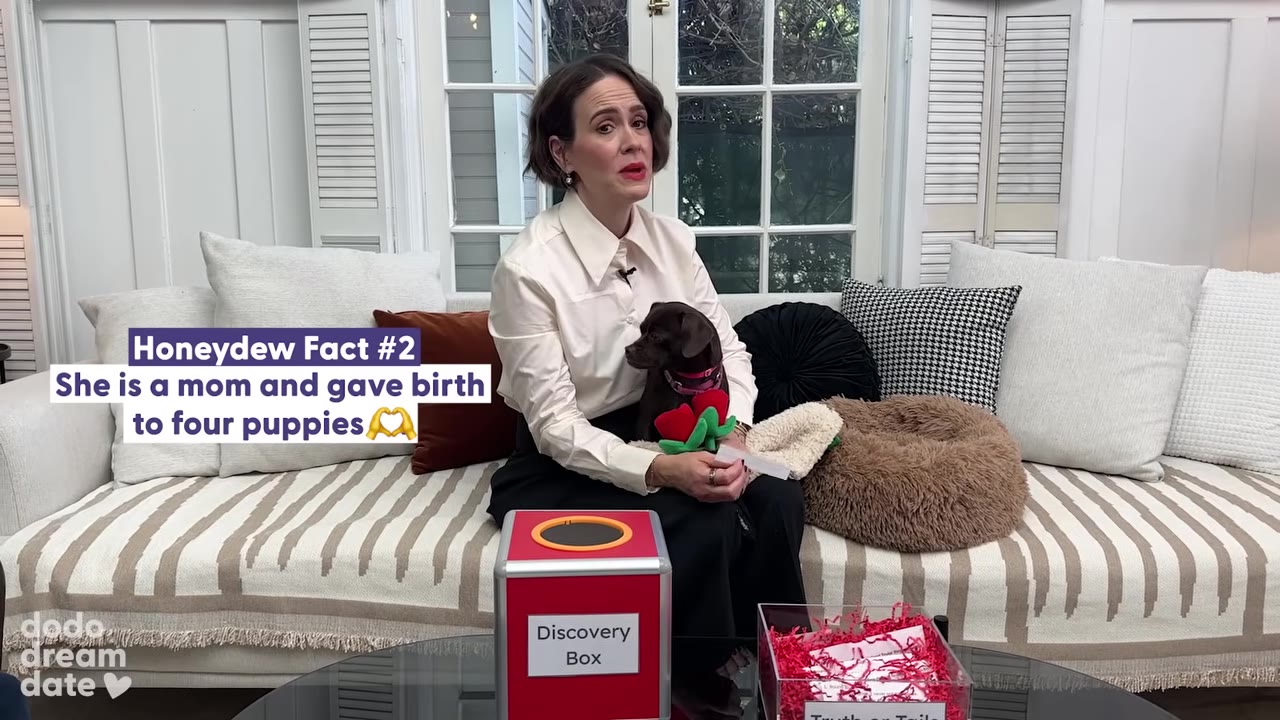 Sarah Paulson sits on a couch holding a small brown dog, with a text graphic overlay that reads, 'Honeydew Fact #2 She is a mom and gave birth to four puppies.'