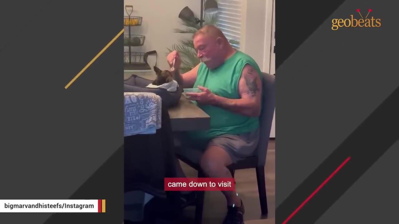 A man in a green sleeveless shirt sits at a dining table, carefully spoon-feeding a small dog resting in a dog bed on the table.