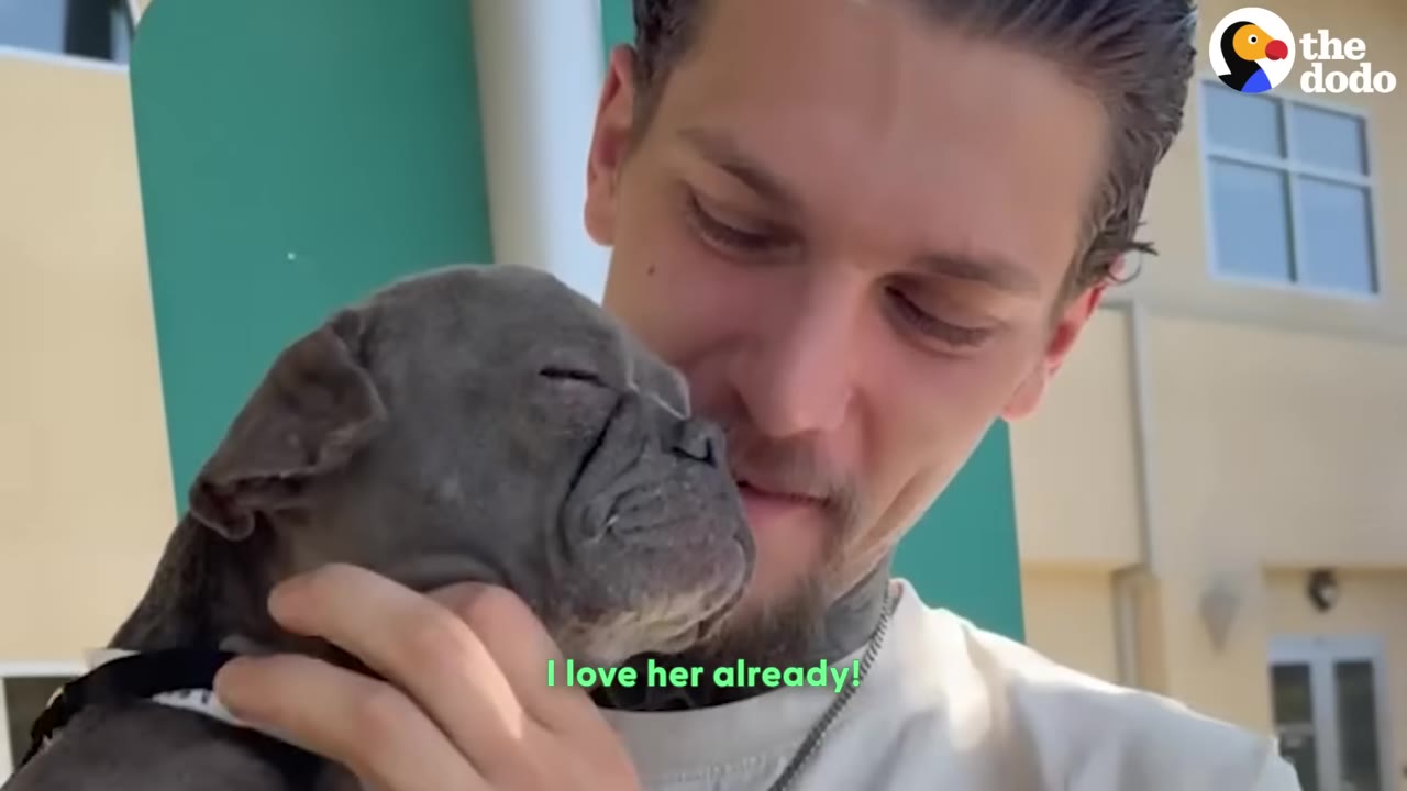 A close-up of a man named Colby holding a small grey puppy close to his face with a smile.