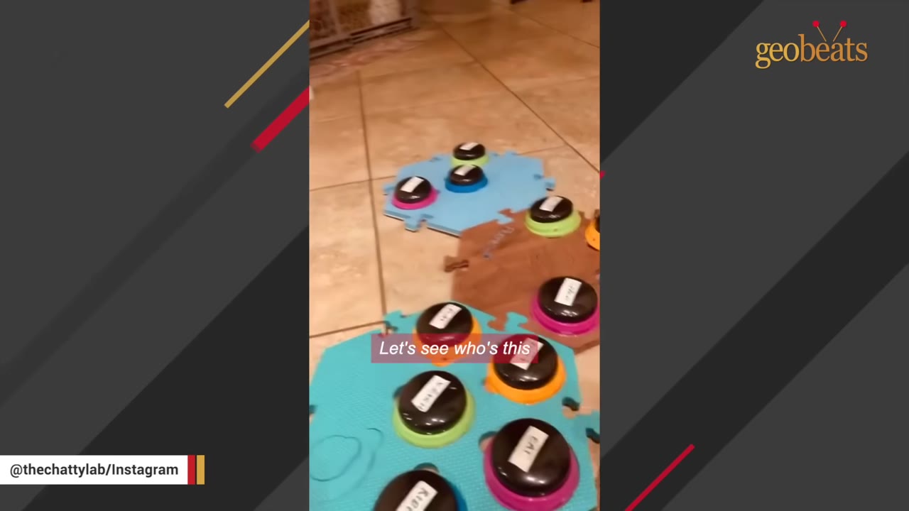 Several colorful interlocking foam mats with recordable buttons on them arranged on a tiled floor.
