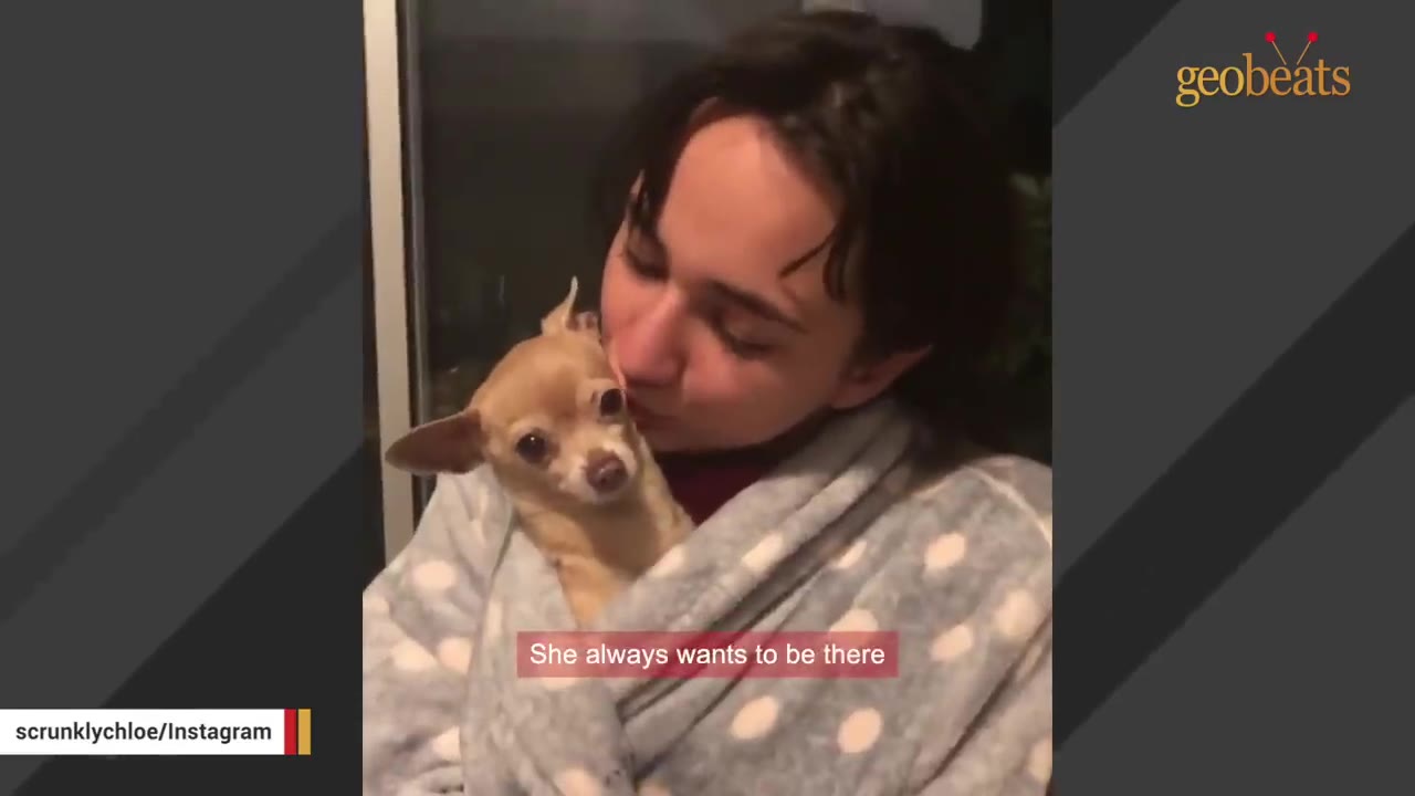 A young woman wrapped in a polka-dot blanket holds a small tan chihuahua close to her face and kisses its head.