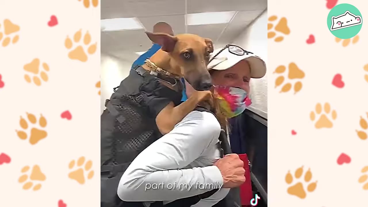A brown dog with pointed ears rides in a black backpack carrier on a woman's back, looking alertly toward the camera.