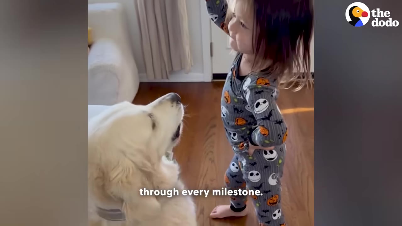 A young child in Halloween-themed pajamas stands in a living room, looking down lovingly at a golden retriever who is looking up at them.