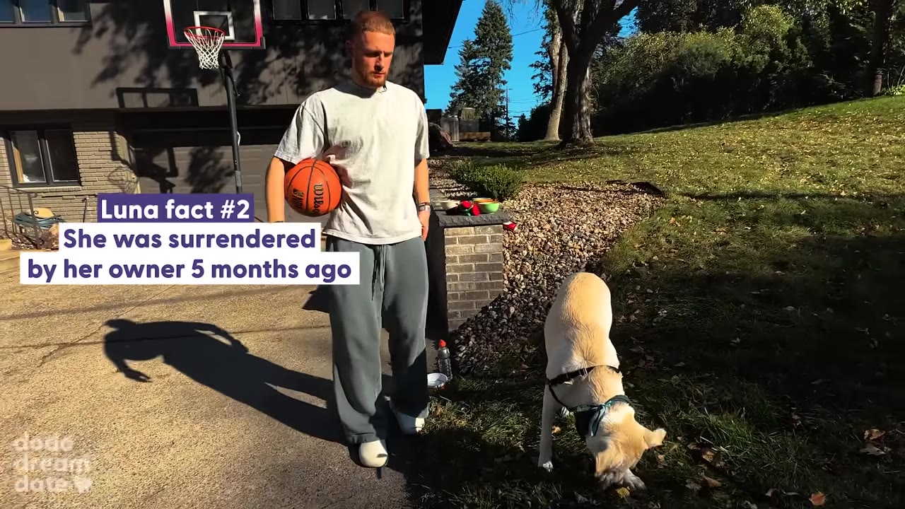 A man holding a basketball stands on a driveway next to a light-colored dog sniffing the grass, with text overlay stating that Luna was surrendered 5 months ago.