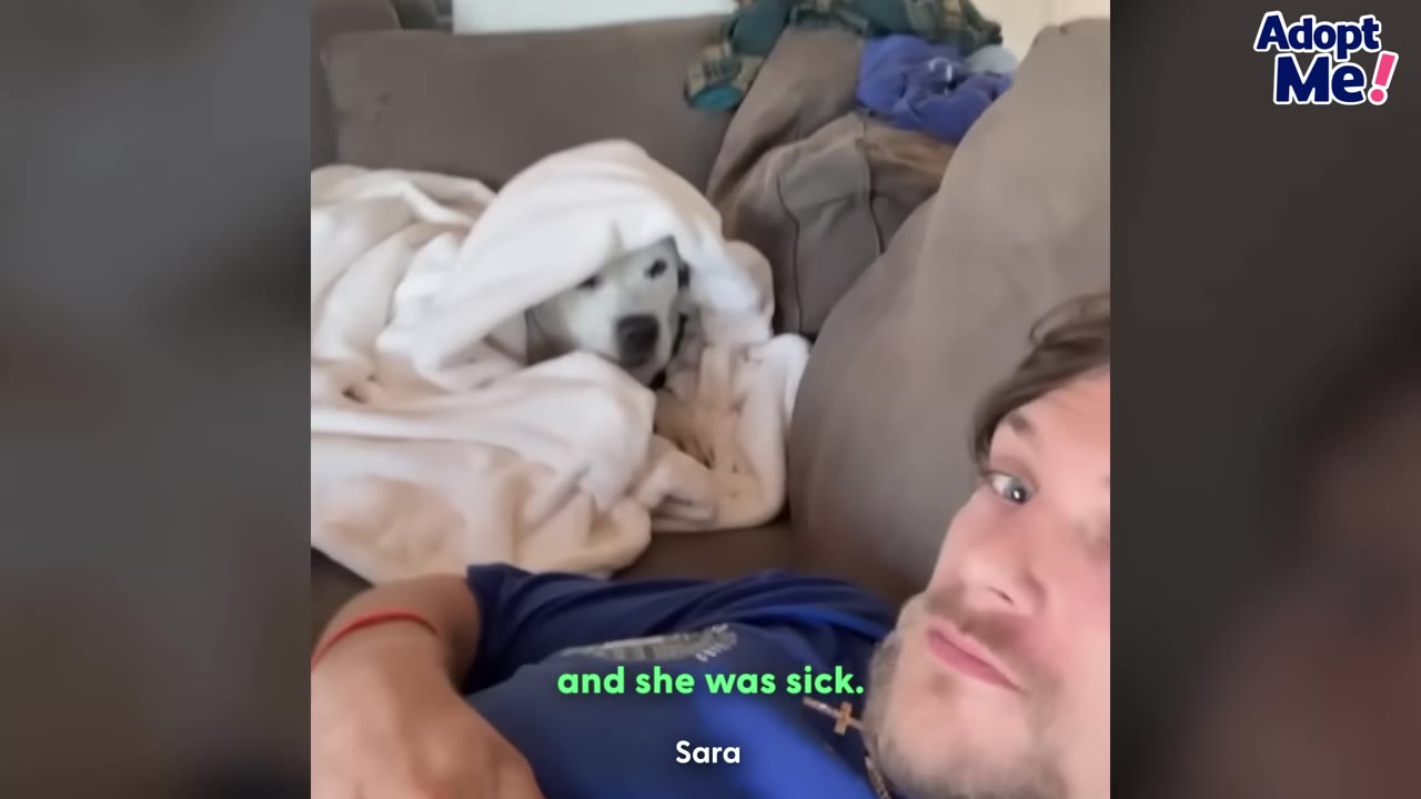 A white dog peeks out from under a white blanket on a couch next to a man, with text on screen reading 'and she was sick.'