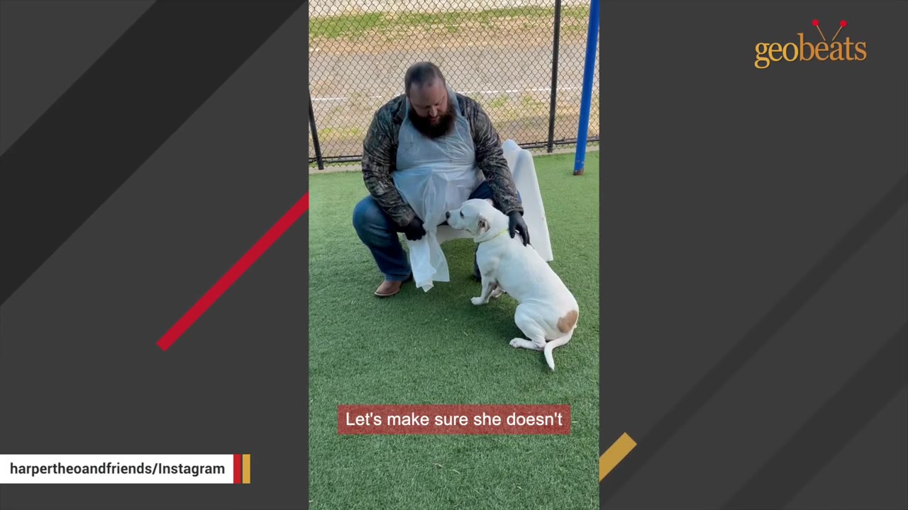 A bearded man in a camouflage jacket crouches on green turf, gently petting a white dog sitting in front of him.