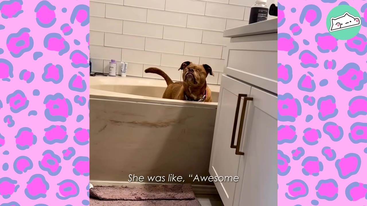A brown dog stands confidently inside a white bathtub in a bathroom, looking upwards.