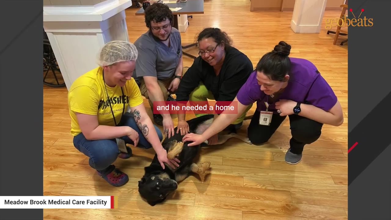 Four staff members at Meadow Brook Medical Care Facility kneel on a wooden floor, smiling and petting a black and tan dog lying on its back.