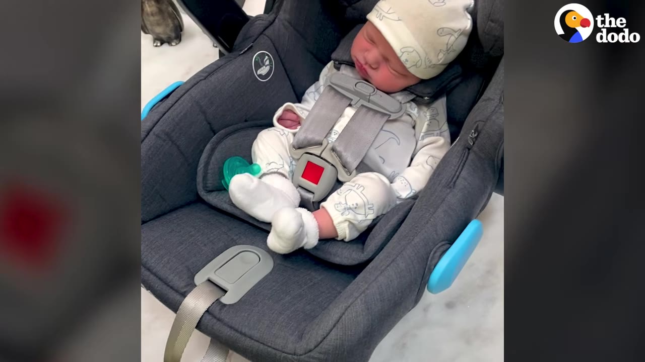 A newborn baby wearing a patterned hat and white socks sleeps soundly while strapped into a grey infant car seat.