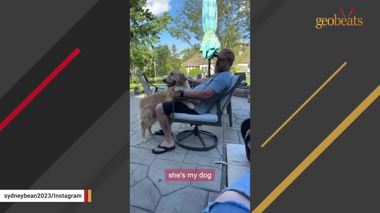 A golden retriever stands beside a man sitting in a patio chair, resting her front paws on his lap.