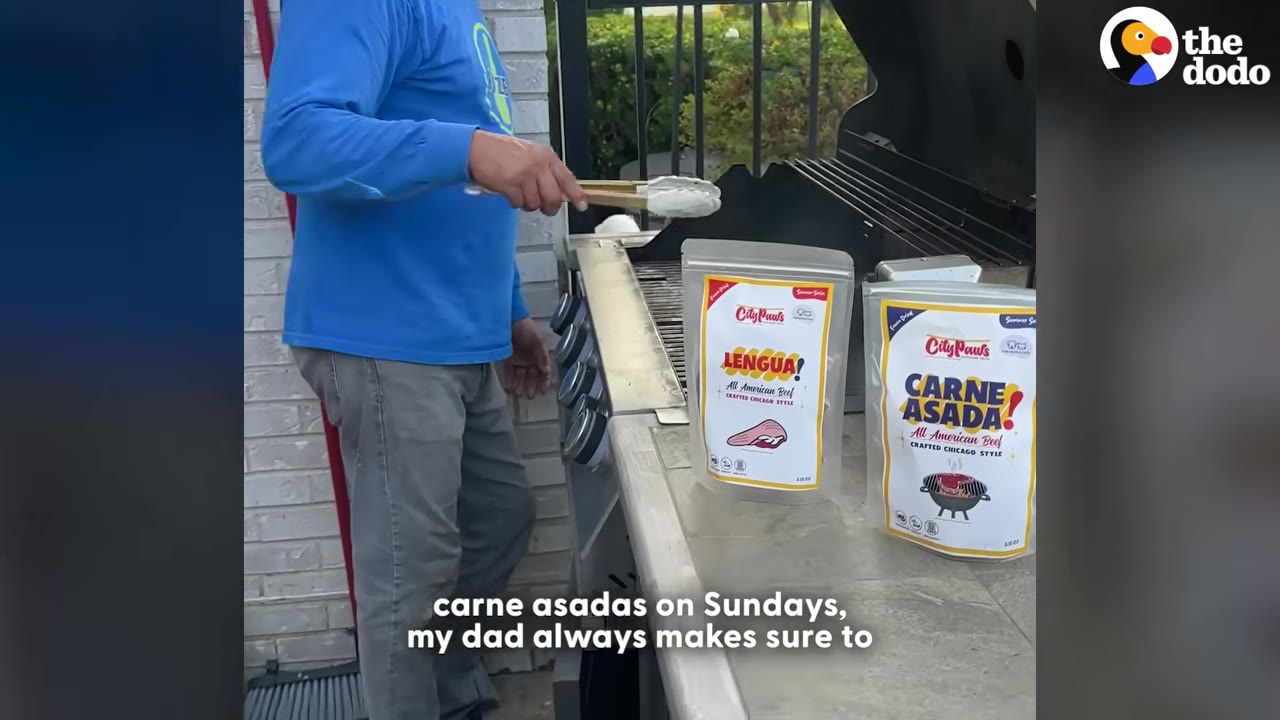 A man in a blue long-sleeve shirt stands next to an outdoor grill holding tongs, with two bags of City Paws dog treats labeled 'Lengua!' and 'Carne Asada!' sitting on the side shelf.