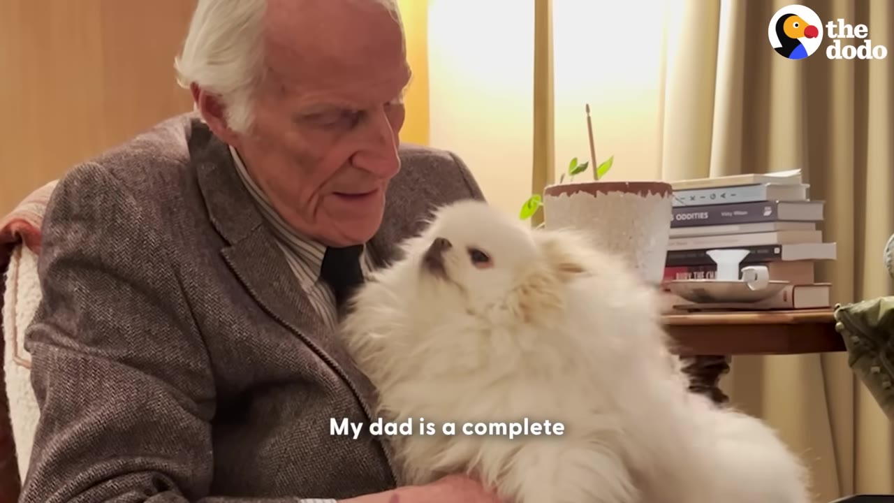 An elderly man in a tweed jacket looks down lovingly at a fluffy white Pomeranian dog nestled in his arms.