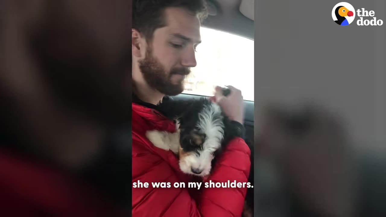 A man in a red puffer jacket holding a fluffy black, white, and brown puppy in his arms inside a car.