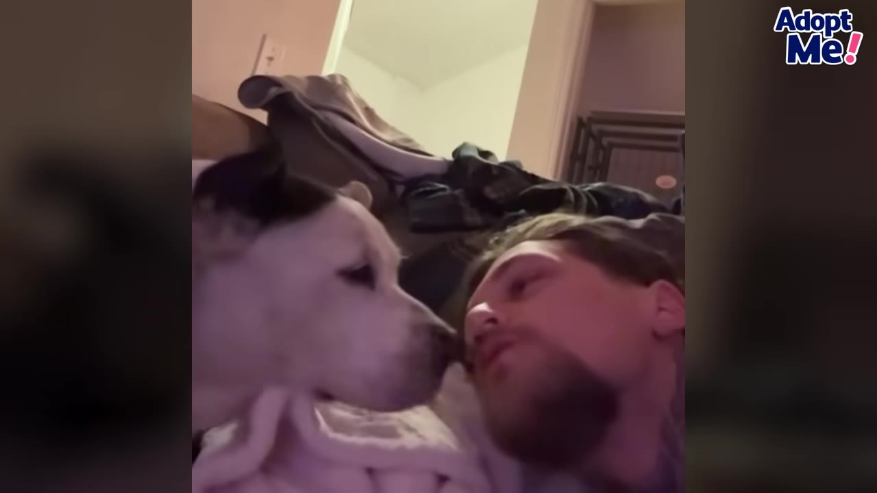 A white and black dog gently touches its nose to a man's face as they lie down together.