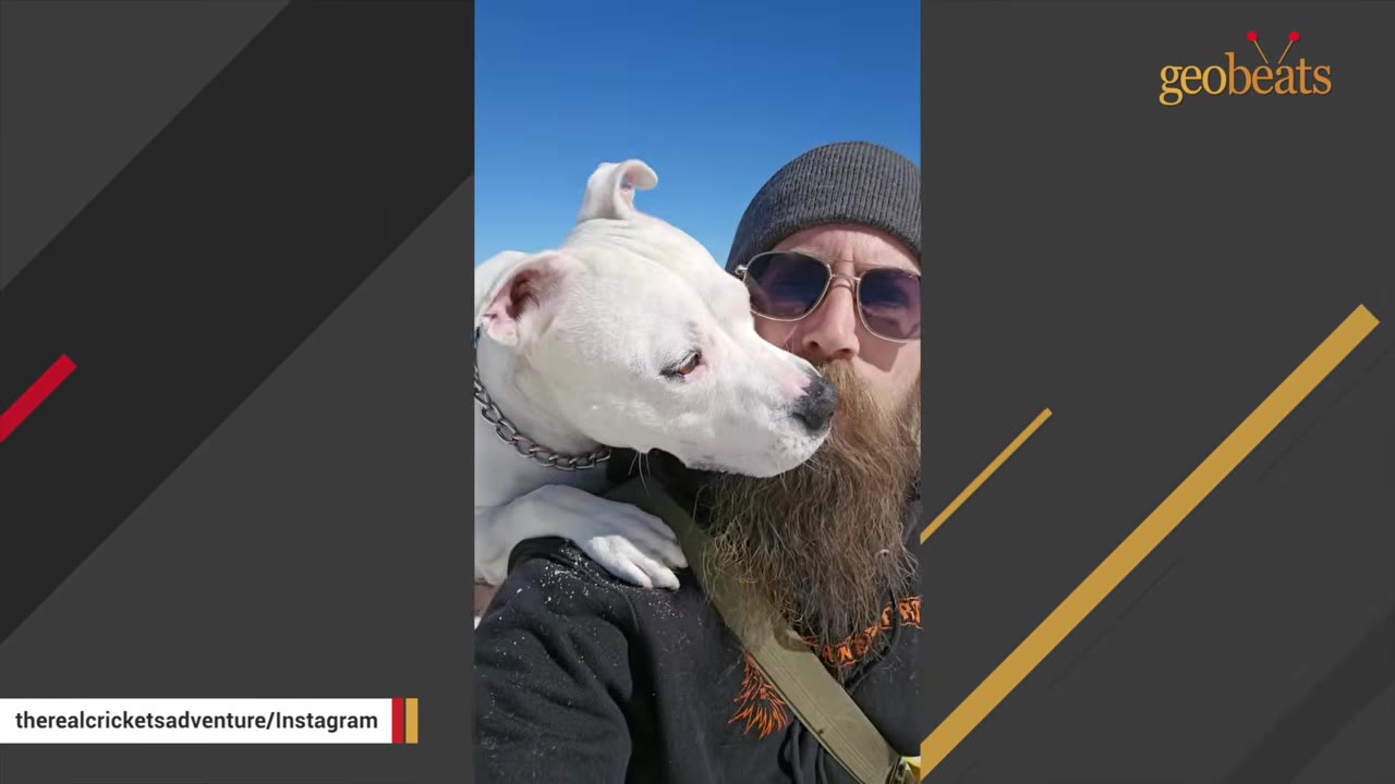 A close-up of a gentle white dog resting her head on the shoulder of a bearded man wearing sunglasses and a beanie under a clear blue sky.
