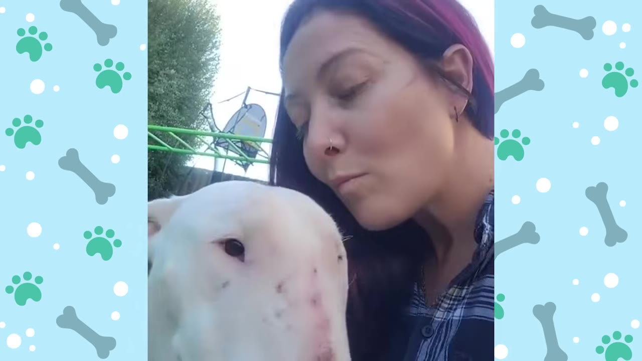 A close-up shot of a white bull terrier dog standing close to a woman with dark hair who is leaning in affectionately.