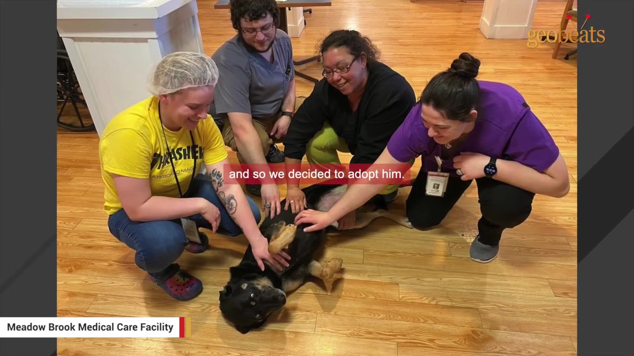Four staff members at Meadow Brook Medical Care Facility smile as they pet a black and tan dog lying on its back on a wooden floor.