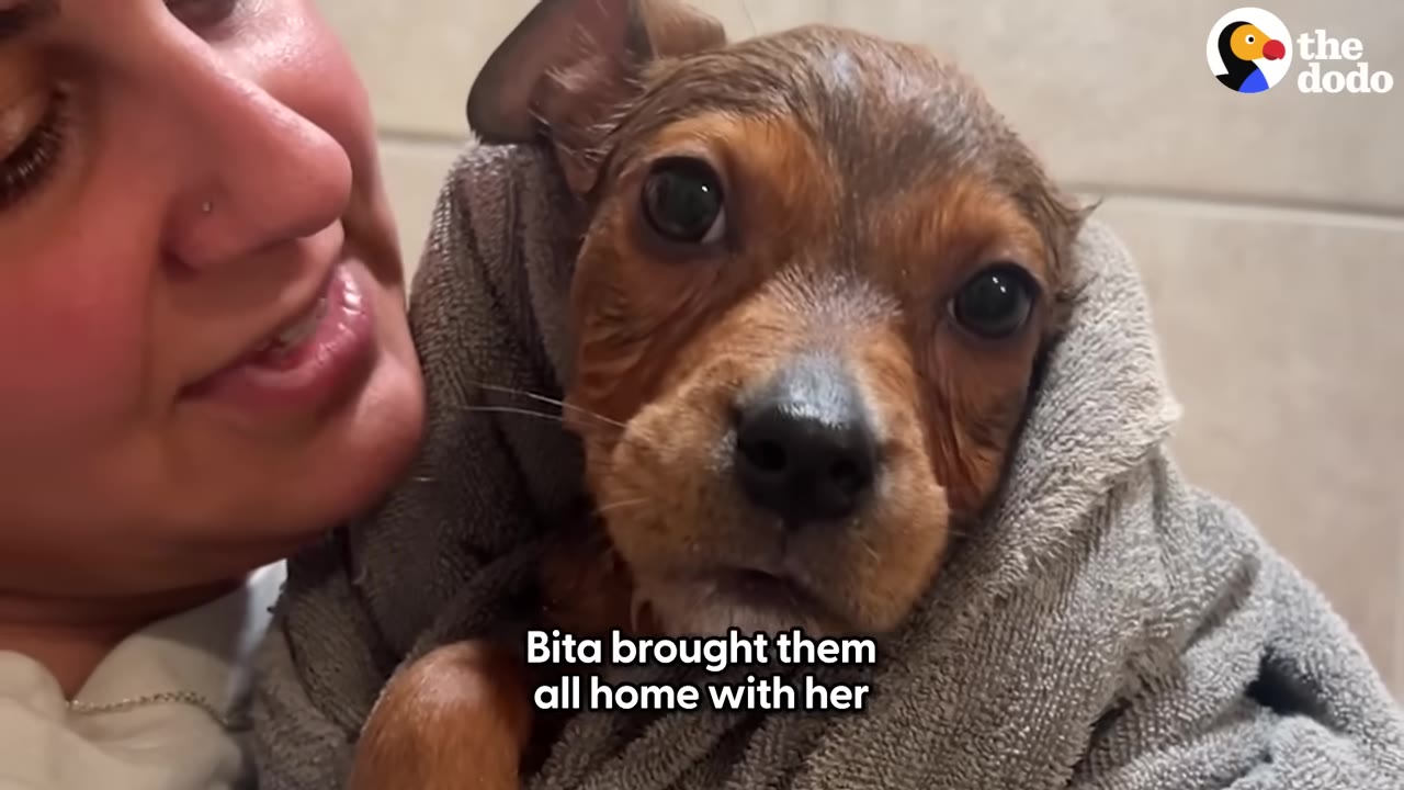 A close-up of a woman smiling as she holds a small brown puppy wrapped in a grey towel.