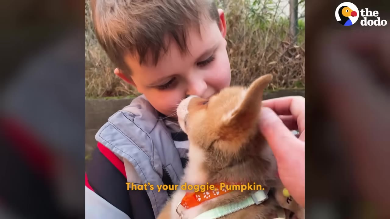 A young boy gently kisses a small brown and white puppy on the nose while holding him close.