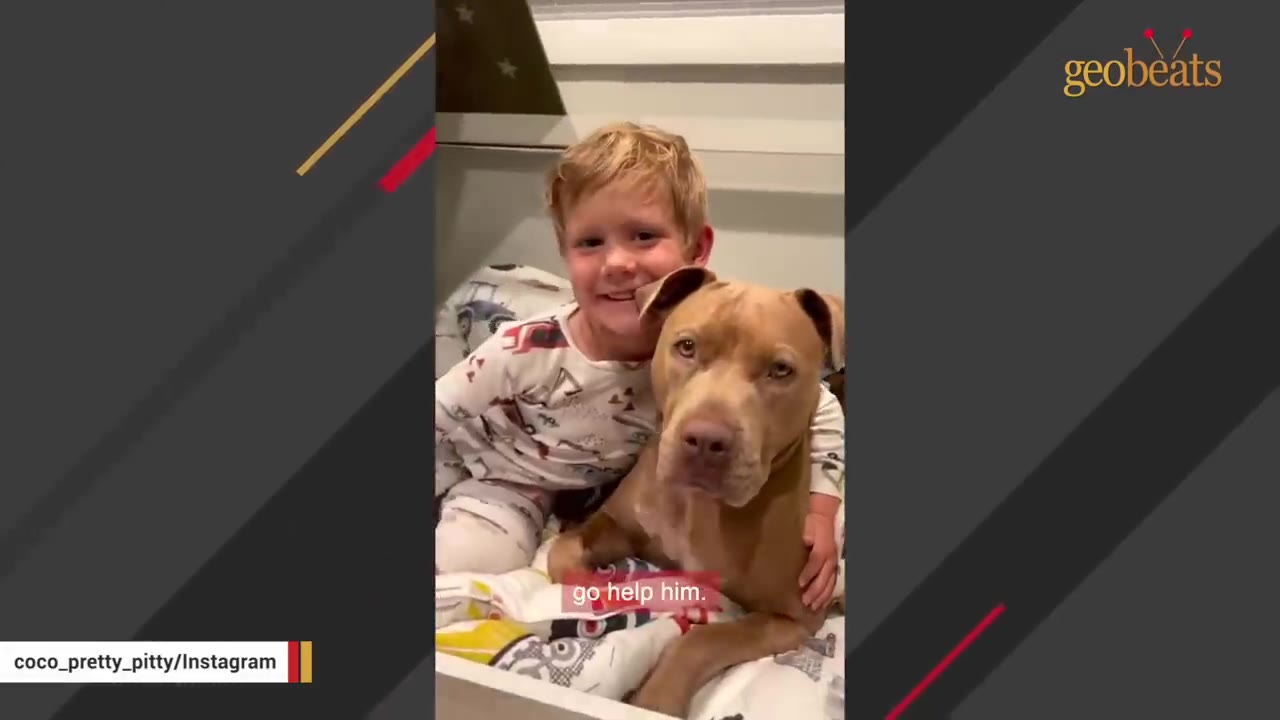 A young boy in pajamas smiles with his arm wrapped around a light brown pit bull sitting next to him on a bed.