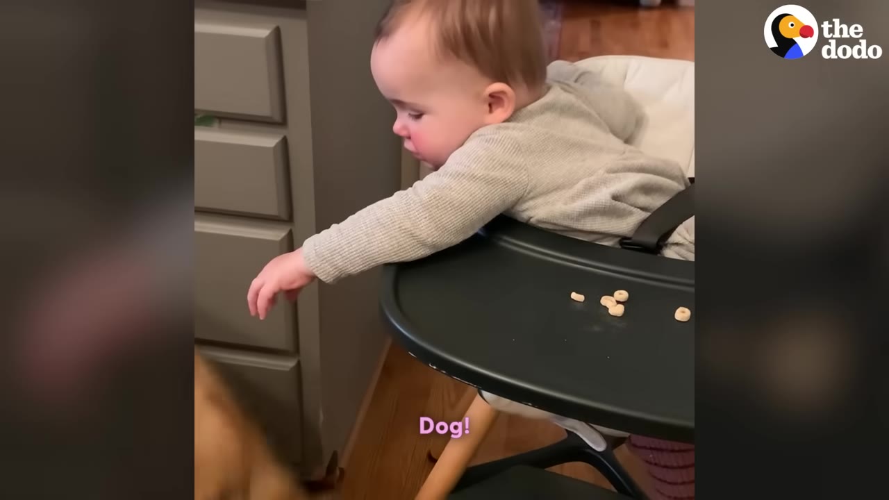 A baby in a high chair reaches their hand out towards a dog off-camera, with the subtitle 'Dog!' displayed on the screen.