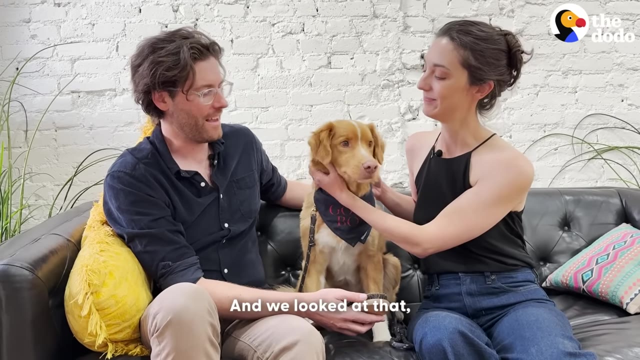 A man and a woman sit on a black leather couch, smiling as they pet a golden dog wearing a dark bandana.