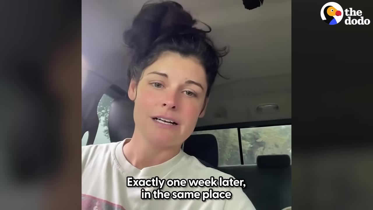 A woman with dark hair tied in a bun sits inside a car, looking directly at the camera with a serious expression.