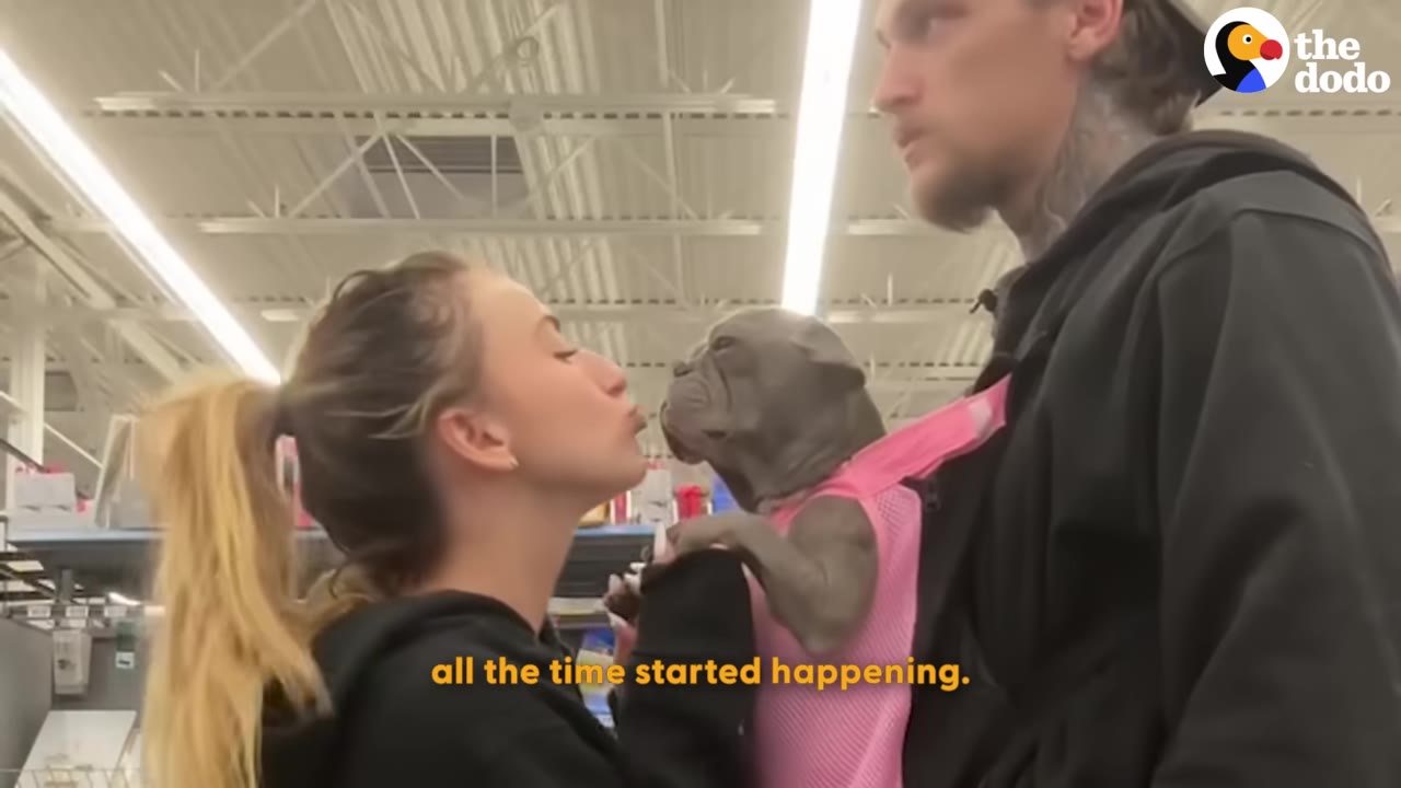 A man with neck tattoos wears a small grey puppy in a pink chest carrier while a blonde woman leans in to kiss the puppy's nose inside a store.