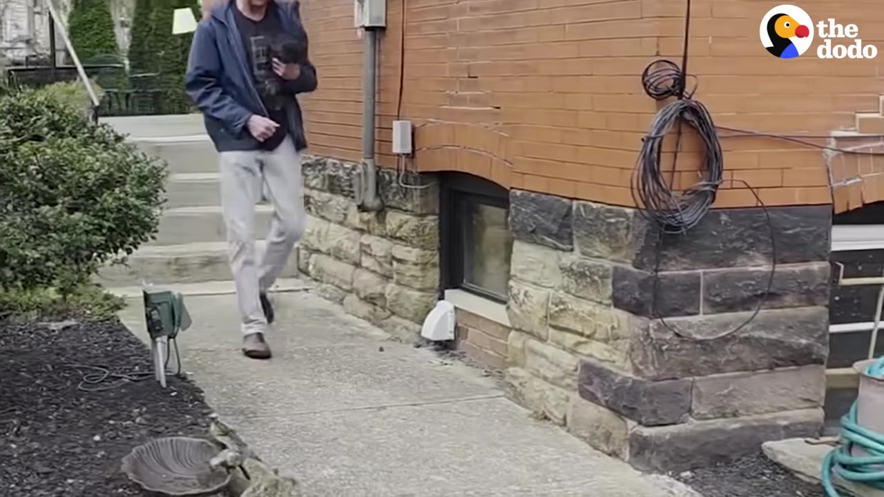 A man in a blue jacket and light-colored pants walks along a concrete path next to a brick building, carrying a small animal.