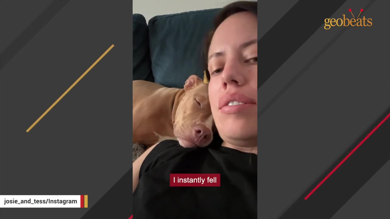 A woman with dark hair looks at the camera while a light brown dog rests its head peacefully on her chest.
