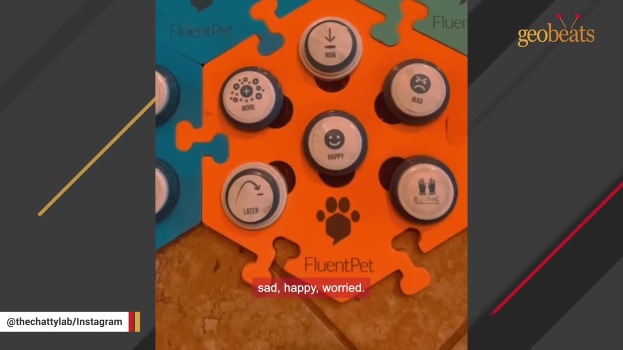 A close-up of an orange FluentPet hexagonal tile with buttons labeled 'NOW', 'MORE', 'MAD', 'HAPPY', 'LATER', and 'ALL DONE'.
