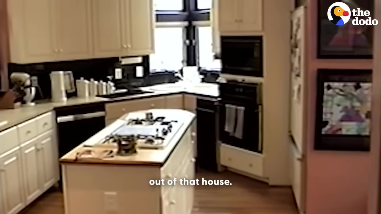 An empty kitchen with white cabinets and a central island, representing the house the family moved out of.