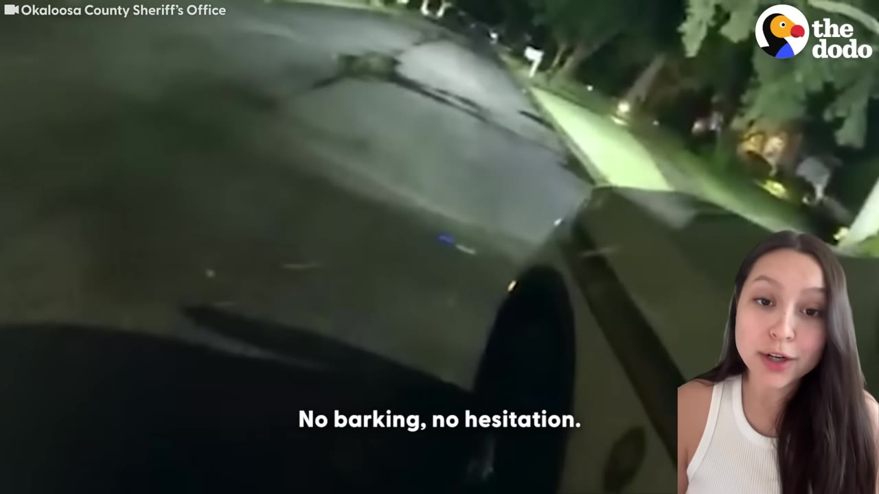 A video frame with a narrator in the bottom right corner, showing a night scene from a vehicle's perspective with the subtitle 'No barking, no hesitation.'