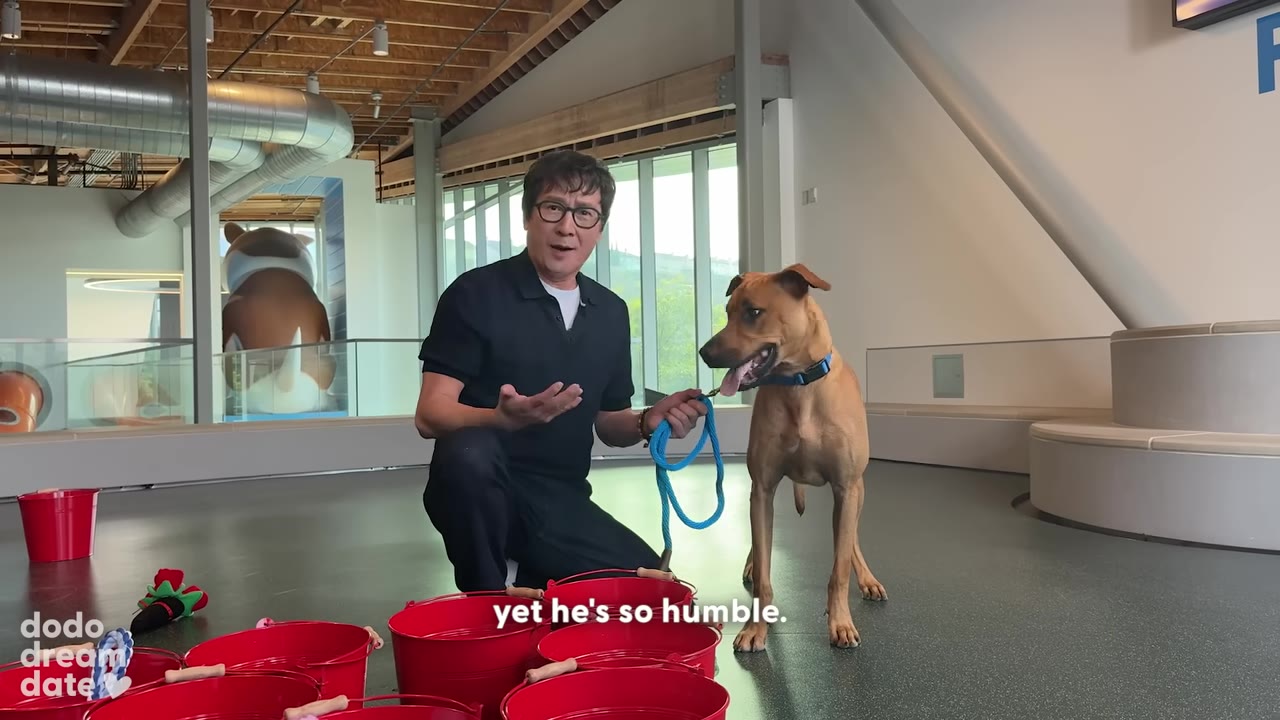 Ke Huy Quan kneels next to a brown dog on a leash, gesturing with his hand as he speaks, with a subtitle that reads 'yet he's so humble.'