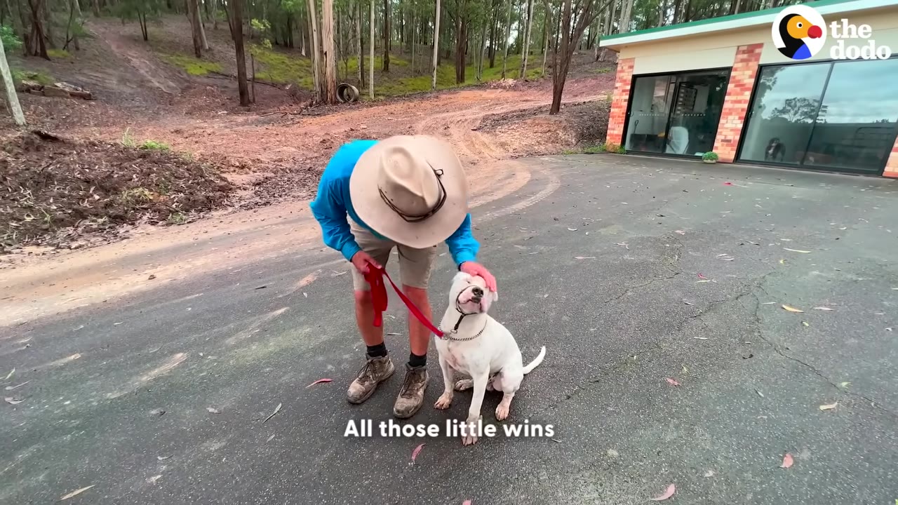 A man wearing a wide-brimmed hat and blue shirt bends down to gently pat a white dog on the head while holding its red leash.