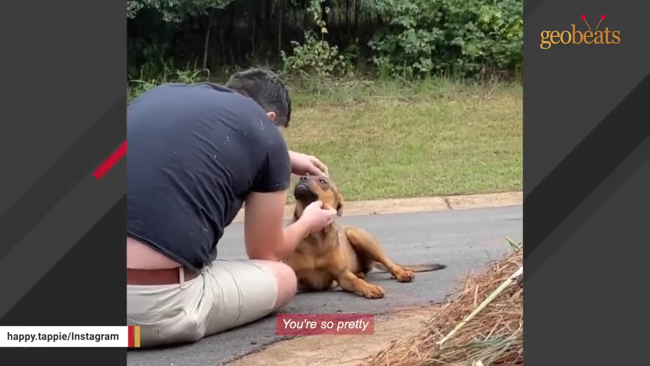 A man sitting on the edge of an asphalt road gently pets a brown dog under its chin as it looks up at him.