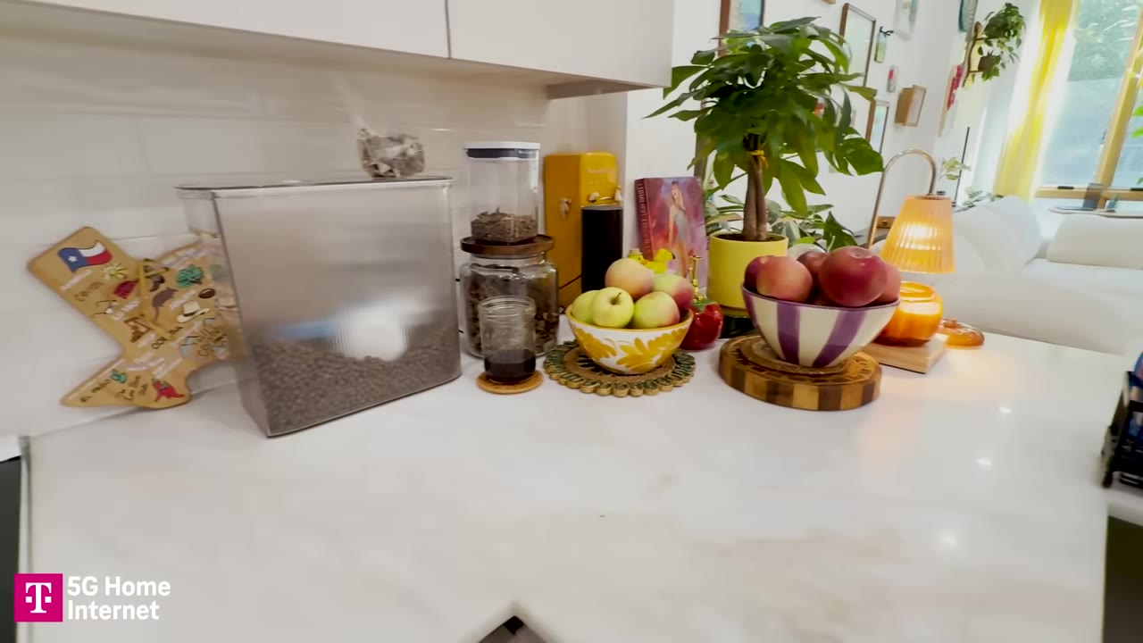 A kitchen counter displaying bowls of apples, a container of dog food, and a small potted plant.