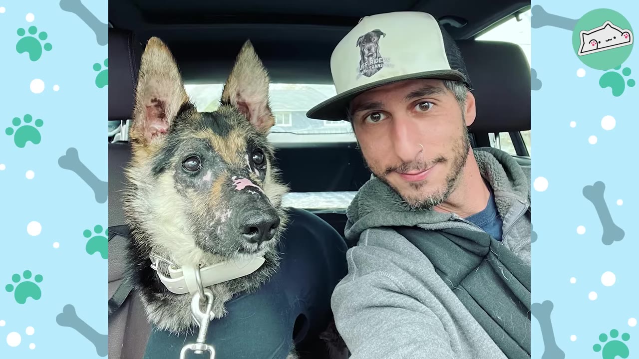 A German Shepherd dog with healed facial scars sitting in the passenger seat of a car next to a smiling man wearing a baseball cap.