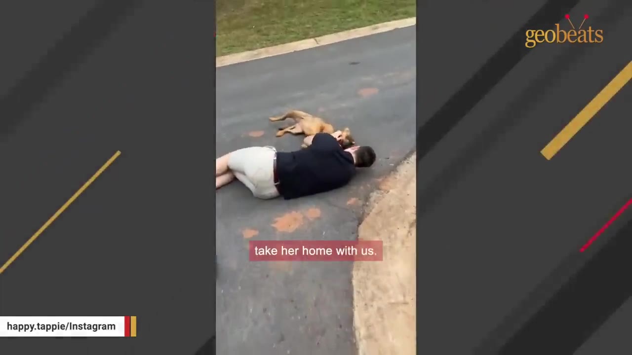 A man lying on his side on an asphalt road next to a small brown dog resting beside him.