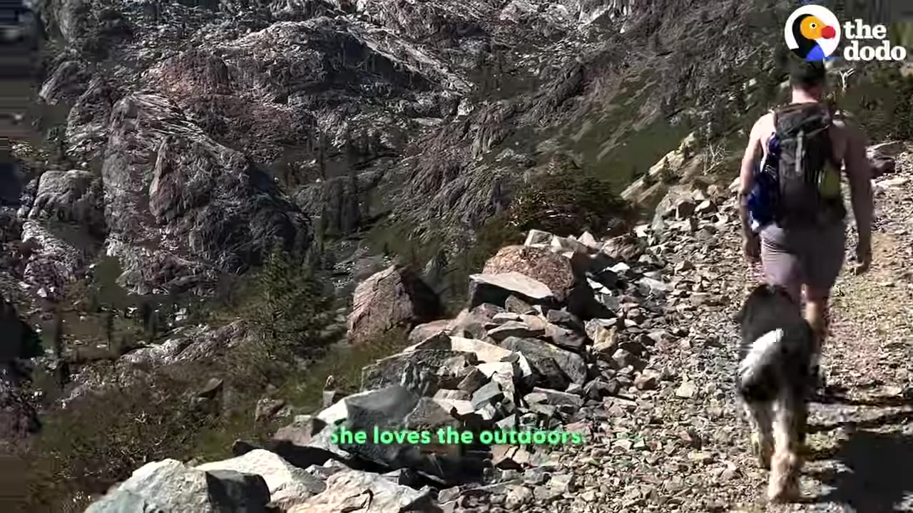 A man with a backpack hikes along a rocky mountain trail with a black and white dog walking beside him.