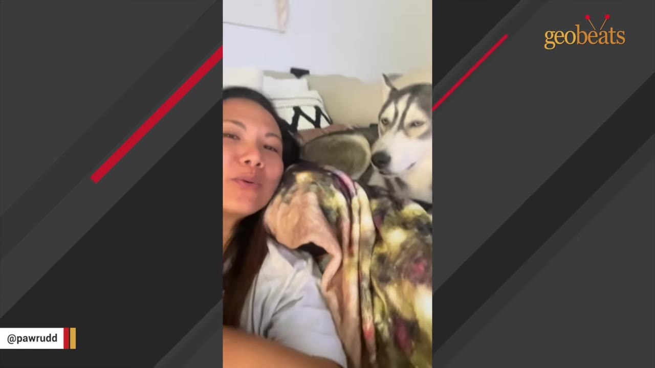 A woman lies on a couch next to her gray and white husky dog, who is resting behind her.