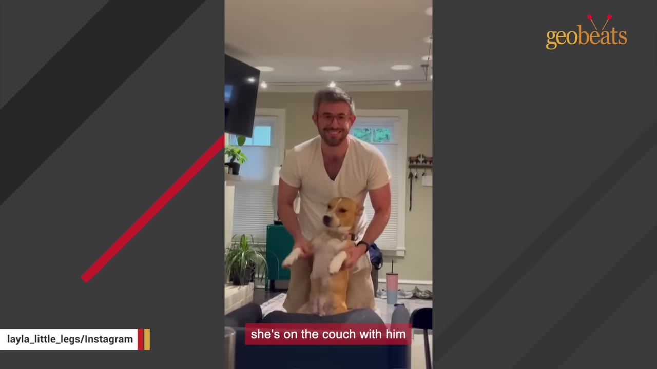 A smiling man with glasses stands behind a tan and white dog on a couch, gently holding its front paws.