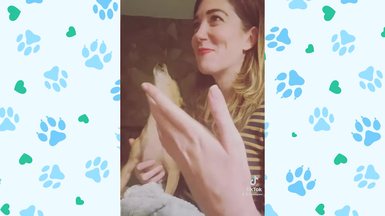 A small tan dog tilts its head back to howl like a diva while a woman smiles and watches.