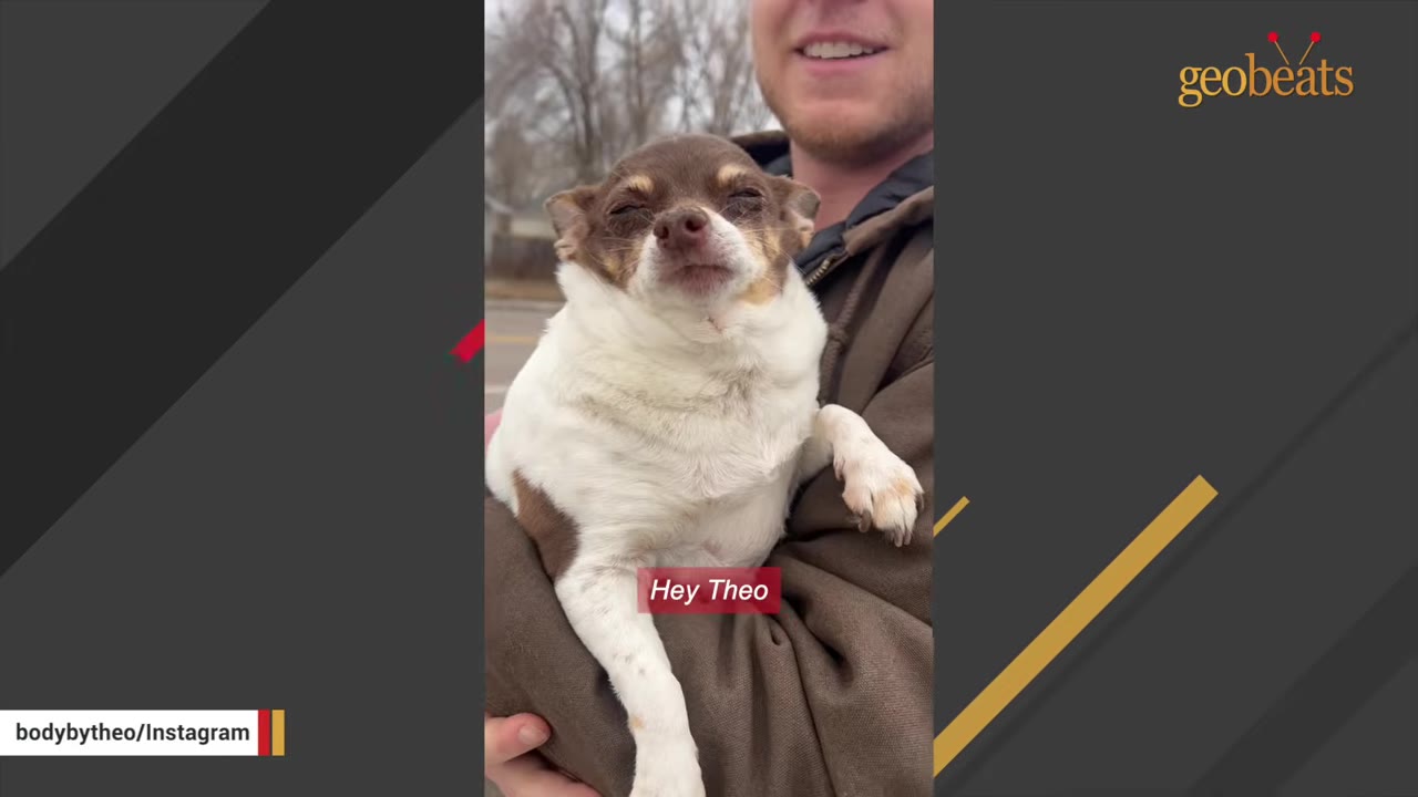 A man holds a brown and white Chihuahua dog in his arms outdoors.