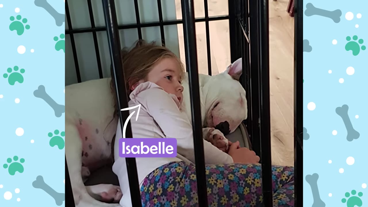 A young girl named Isabelle cuddles inside a dog crate with a white dog.